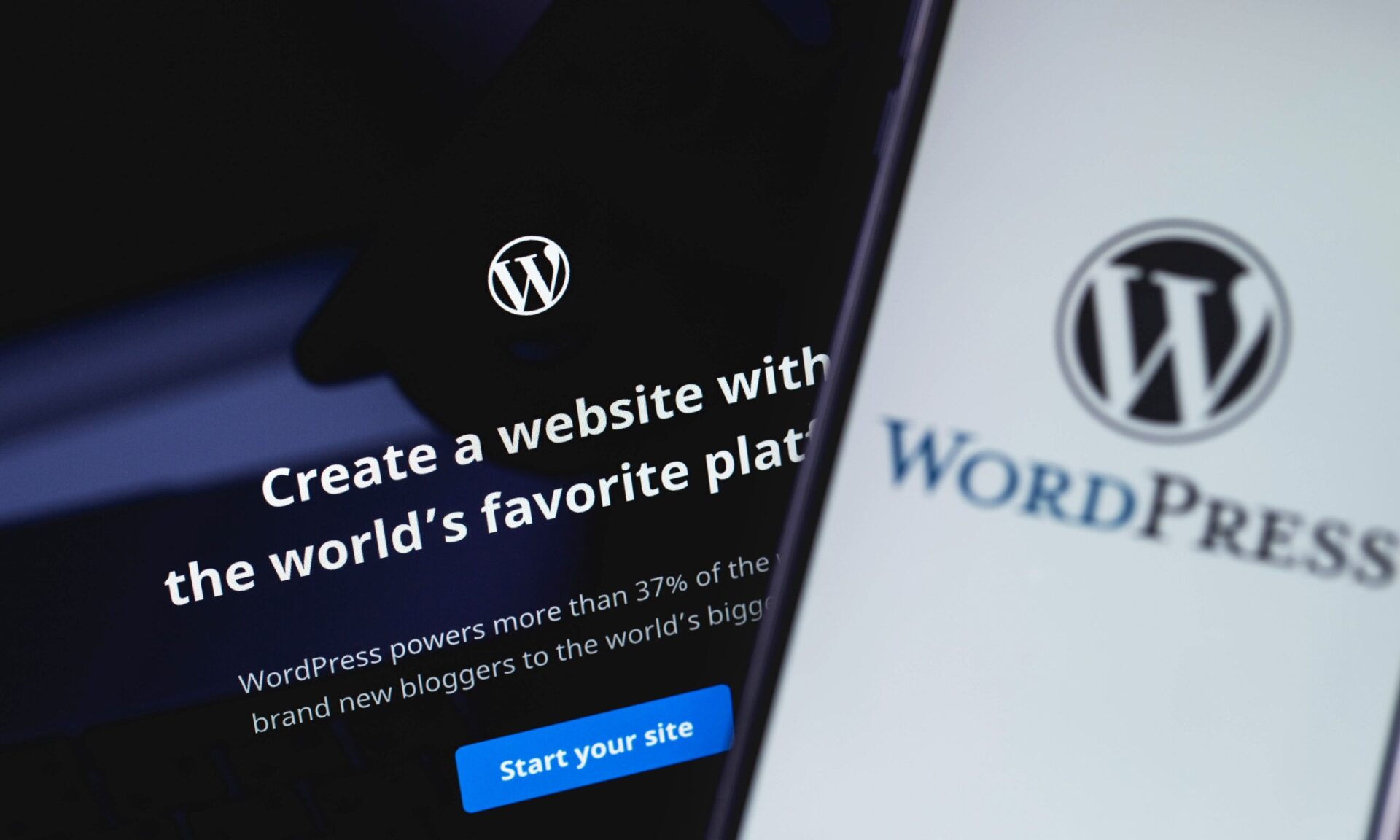 WordPress